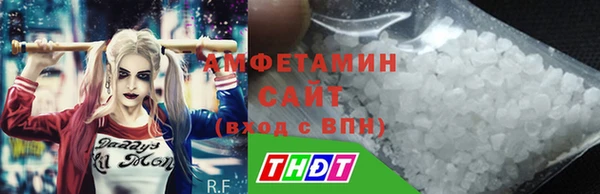 молекула духа Михайлов
