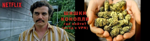 молекула духа Михайловск