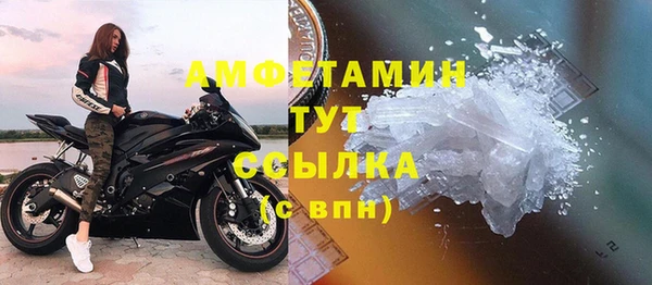 молекула духа Михайловск