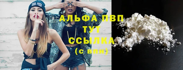 молекула духа Михайловск
