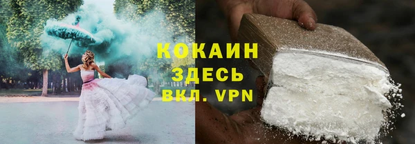молекула духа Михайлов