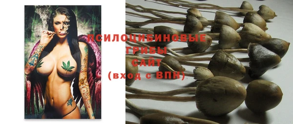 молекула духа Михайлов