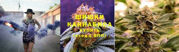 МДПВ Бердск