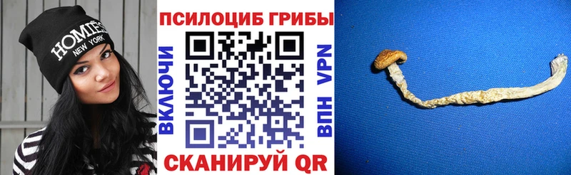 Псилоцибиновые грибы прущие грибы  Владикавказ 